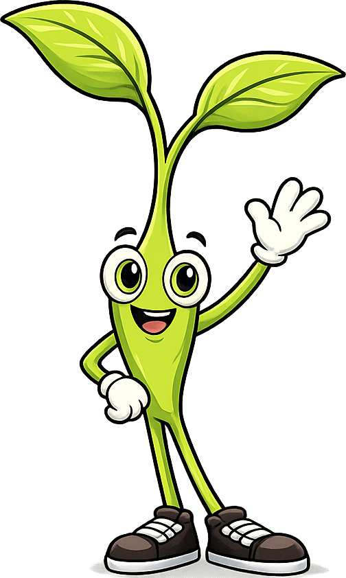 Seedly, the better choice